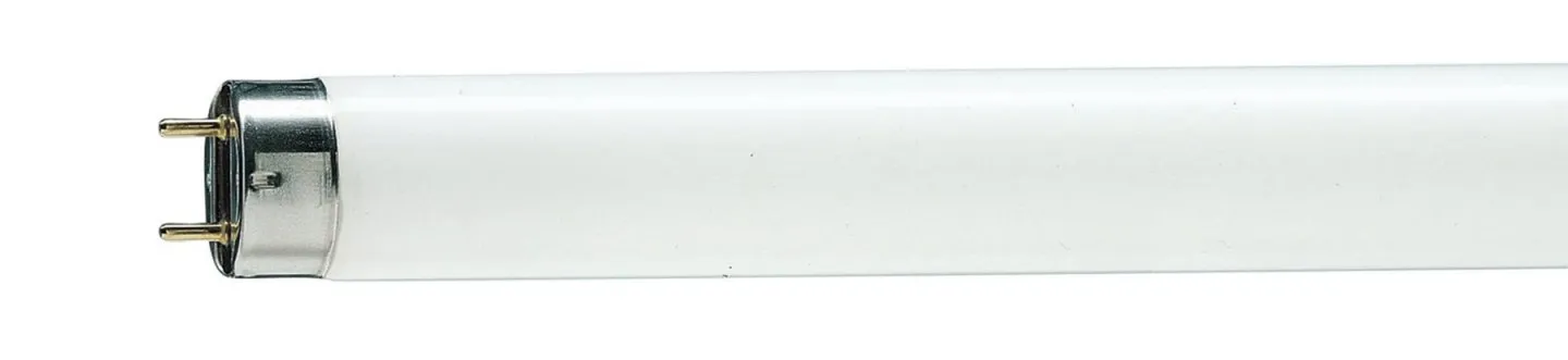  A10 Fluorescent Tube Lamps T8 Standard Colour banner tld