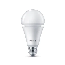 LEDBulb BB 975W 6500K E27 A67